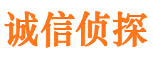 前进市侦探调查公司